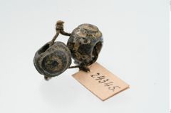 Foto von Glasaugenperle (NHMW-PRAE-024345)